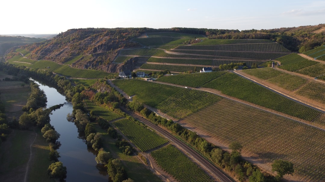 Photo Green infrastructure