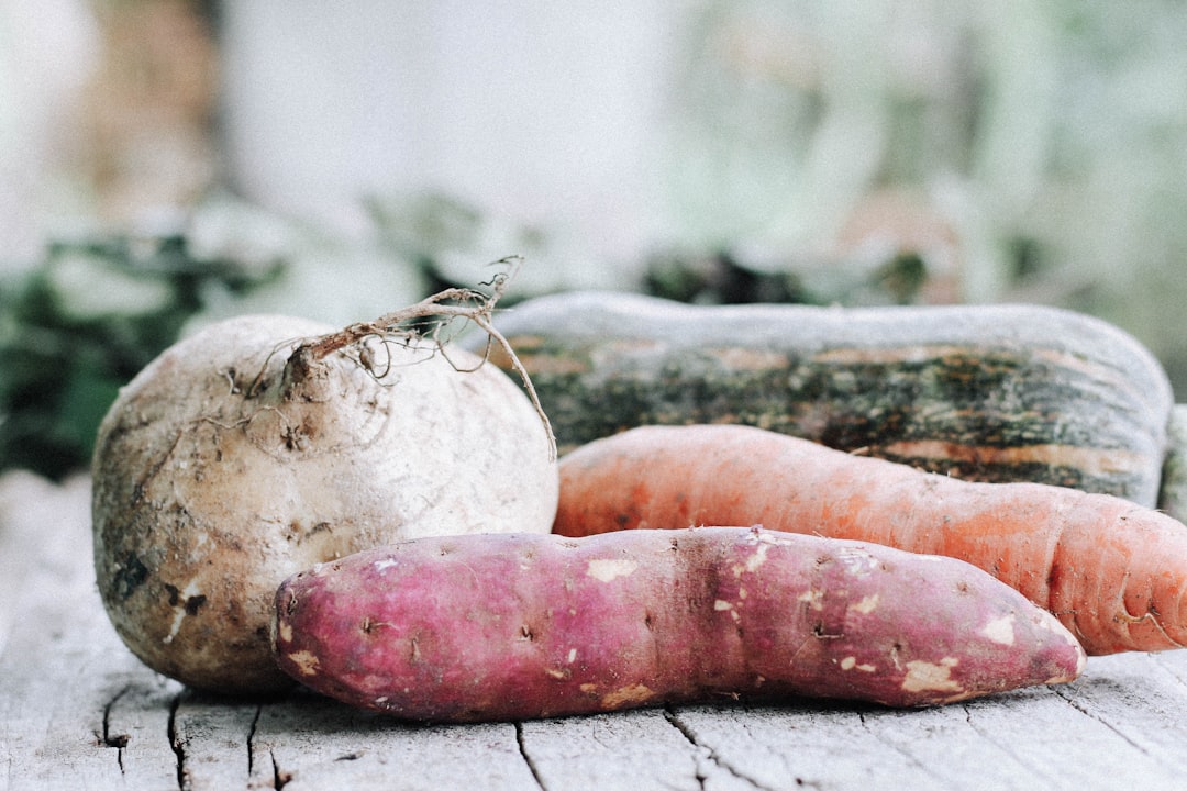 Photo Fermenting vegetables