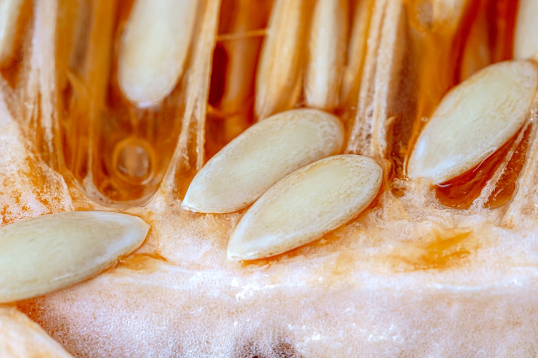 Dania fermentowane probiotyki: korzyści dla zdrowia 2 Photo fermented probiotics